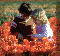 Contact Nancy